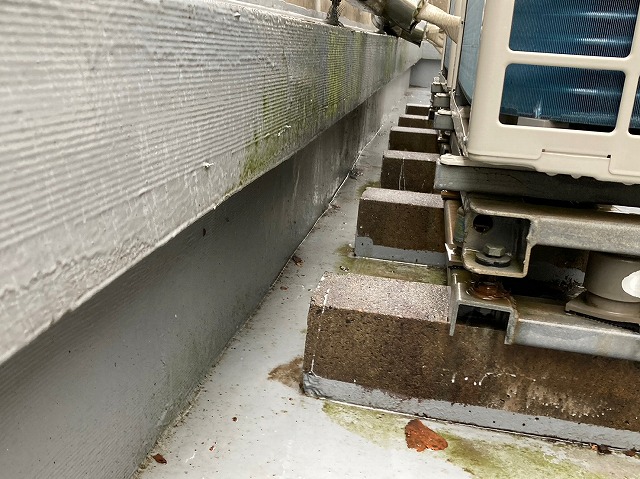 海沿いの陸屋根